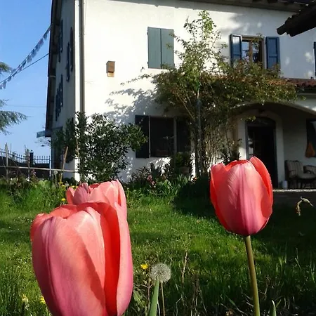 לינה וארוחת בוקר Casa Burani
